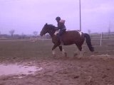 Premier galop a cru avec merlin