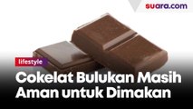 Tenang! Cokelat Bulukan Masih Aman untuk Dimakan
