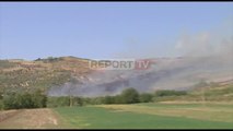 Report TV -Zjarr i madh në Karbunarë të Lushnjës, flakët përpijnë 20 hektarë ullishte