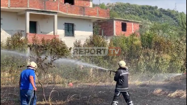 Report TV -Zjarrvënie në Fushë-Krujë/ Digjet pemëtorja e një banori, policia në kërkim të autorëve