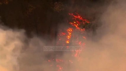 Top News - Zjarret SHBA, shkencëtarët/ Ky është vetëm fillimi