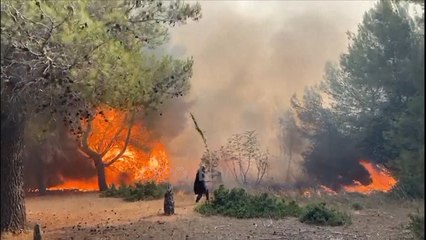 Ora News - Zjarret e shtatorit nuk ndalen, flakët depërtojnë brenda burgut të Fushë Krujës