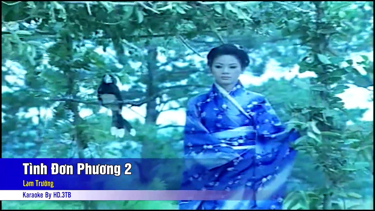 Tinh Don Phuong 2 - Lam Truong