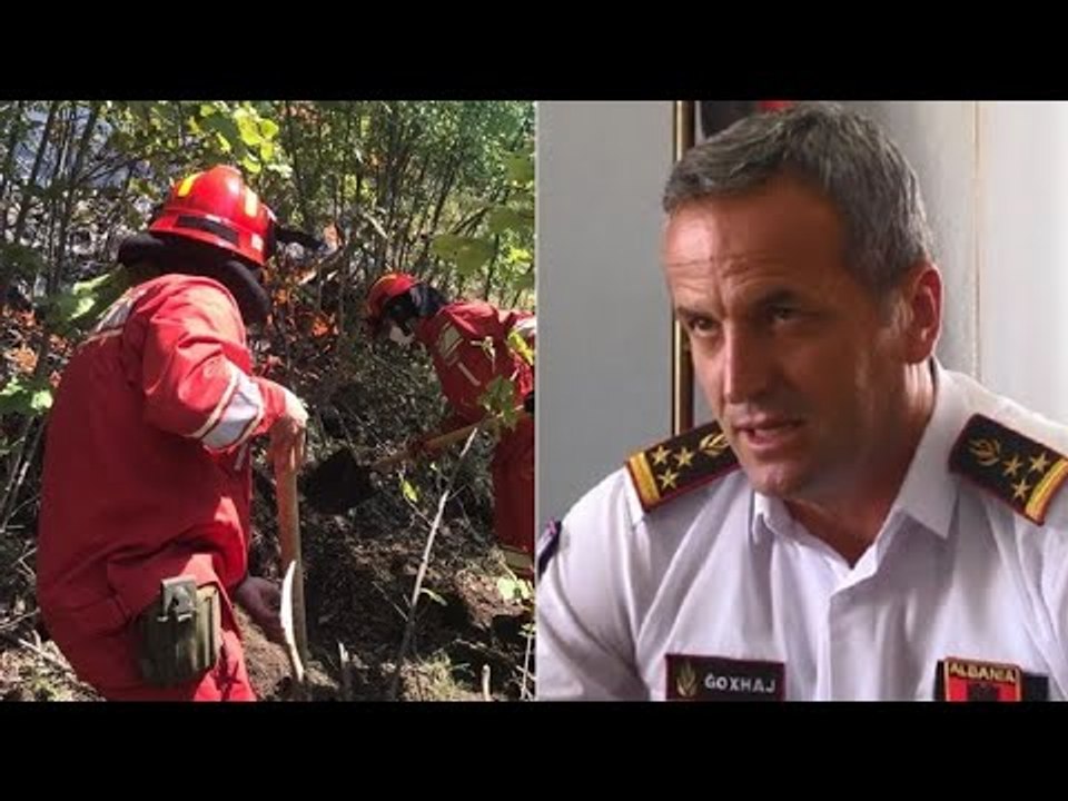Sot 3 vatra zjarri në Tiranë (150 në total që nga korriku)/Kreu i Zjarrfikësve:Shumica të qëllimshme