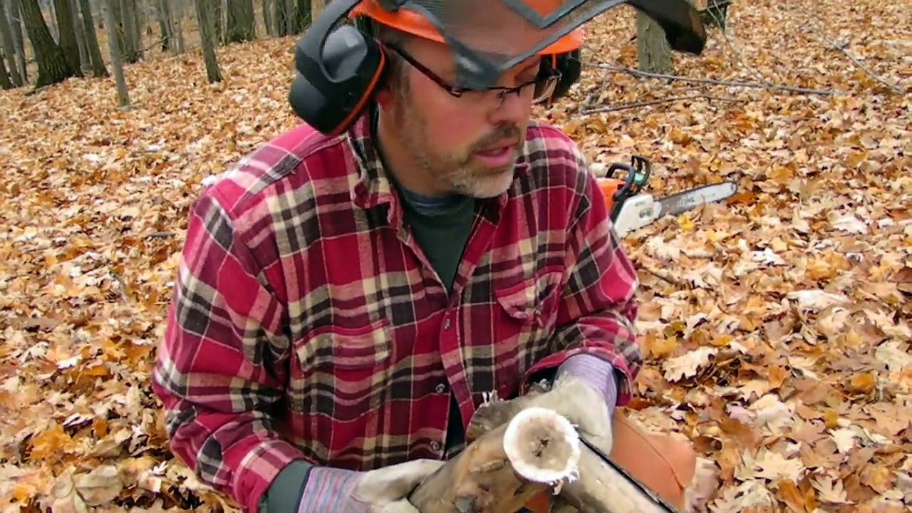 American Woodslayer Episode 3 - New Sharpening tool