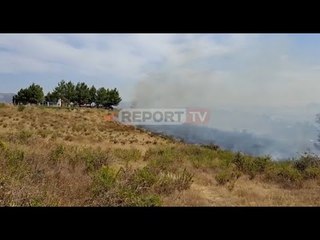 Report TV - Shkodër, zjarr i madh në fshatin Mali Hebe, rrezikohen banesat