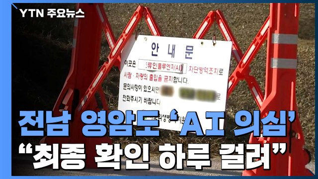 고병원성 AI 전남 영암 오리농장서 의심 사례...확진되면 전국 세 번째 / YTN