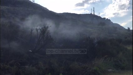 Top News - Zjarr i qëllimshëm/ Durrës, digjen pishat në Kallm