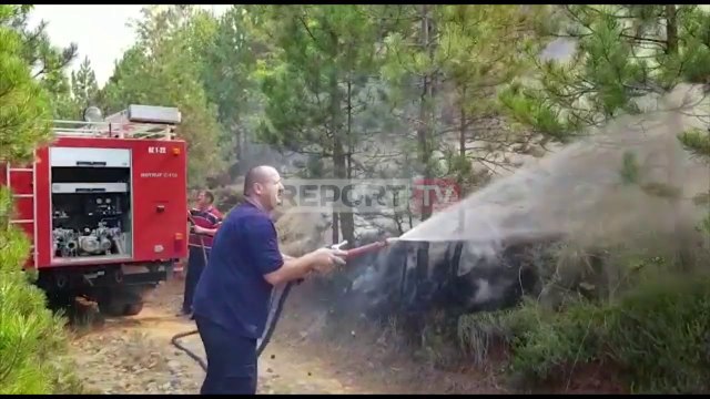 Report TV -Dibër, digjen 15 hektarë pishë në malin e Balgjajt, kërkohet ndërhyrje nga ajri