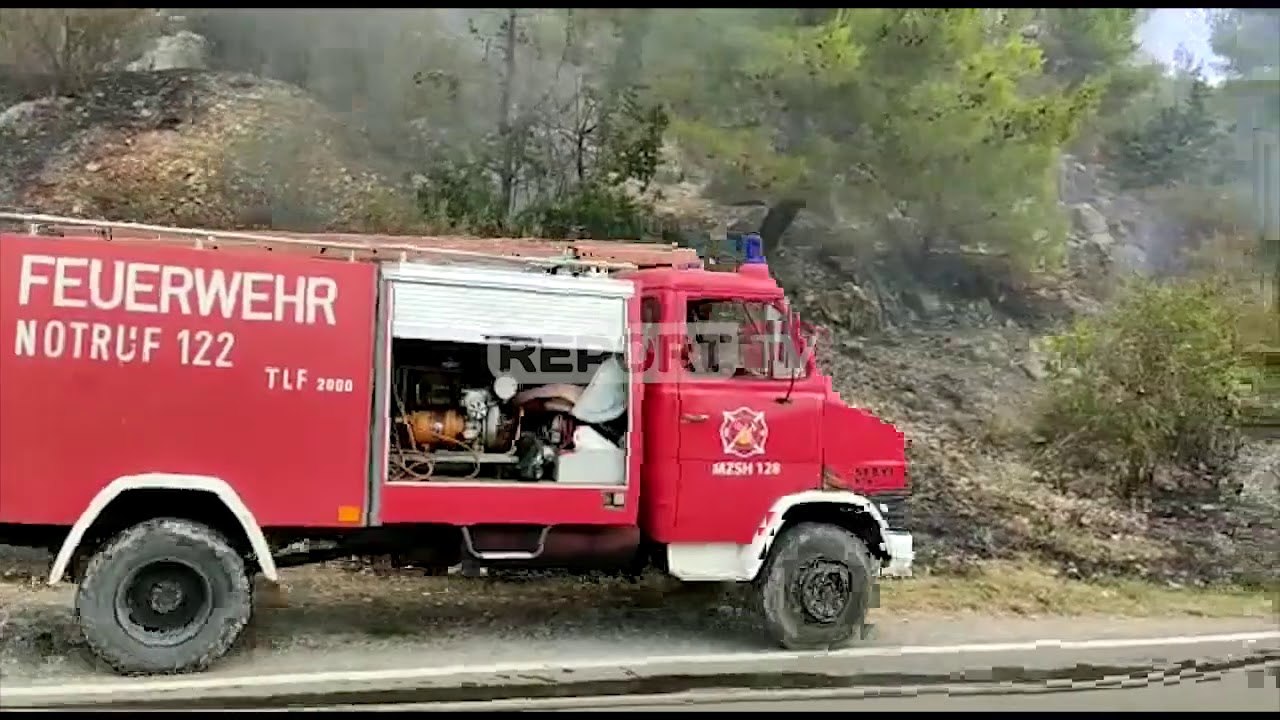 Report TV -Lezhë, zjarri përfshin masivin pyjor në fshatin Manati