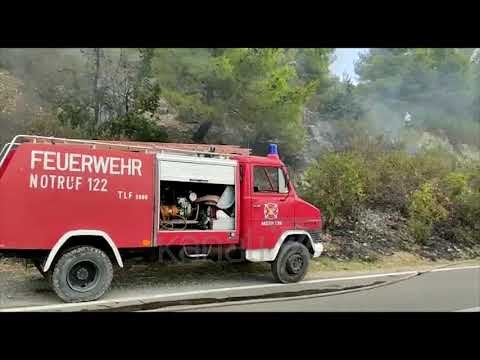 FLAKET PËRPIJNË MASIVET PYJORE NË KLOS, LEZHË DHE DURRËS - News, Lajme - Kanali 7