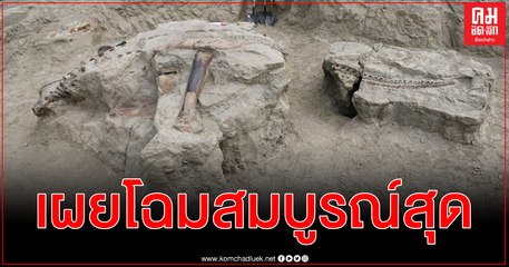 australian-museum-to-attain-one-of-worlds-most-intact-dinosaur-fossils5fc8d8ae-020e-e62d-4459-54f5e8527139_l_hd