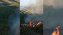 Ora News - Vatra aktive në Fier e Mallakastër, zjarri djeg vreshtat