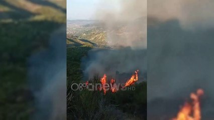 Скачать видео: Ora News - Vatra aktive në Fier e Mallakastër, zjarri djeg vreshtat