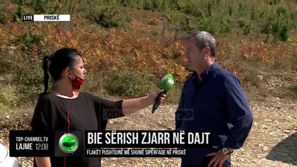 Bie sërish zjarr në Dajt/ Flakët pushtojnë më shumë sipërfaqe në Priskë