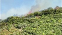Report TV - Zjarr në fshatin Mavrovë në Vlorë, përfshihet nga flakët pylli shumë pranë banesave