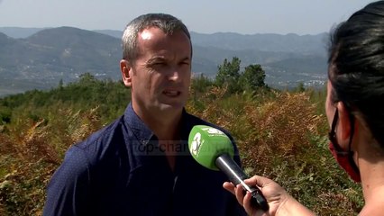 Bie sërish zjarr në malin e Dajtit/ Tiranë, Flakët pushtojnë më shumë sipërfaqe në Priskë