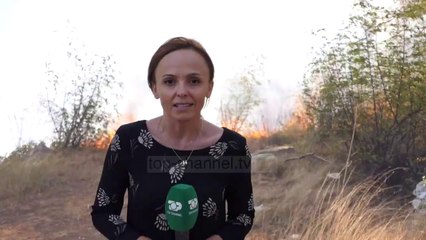 Zjarr në kodrën e Krastës/ Era e fortë favorizon përhapjen e flakëve