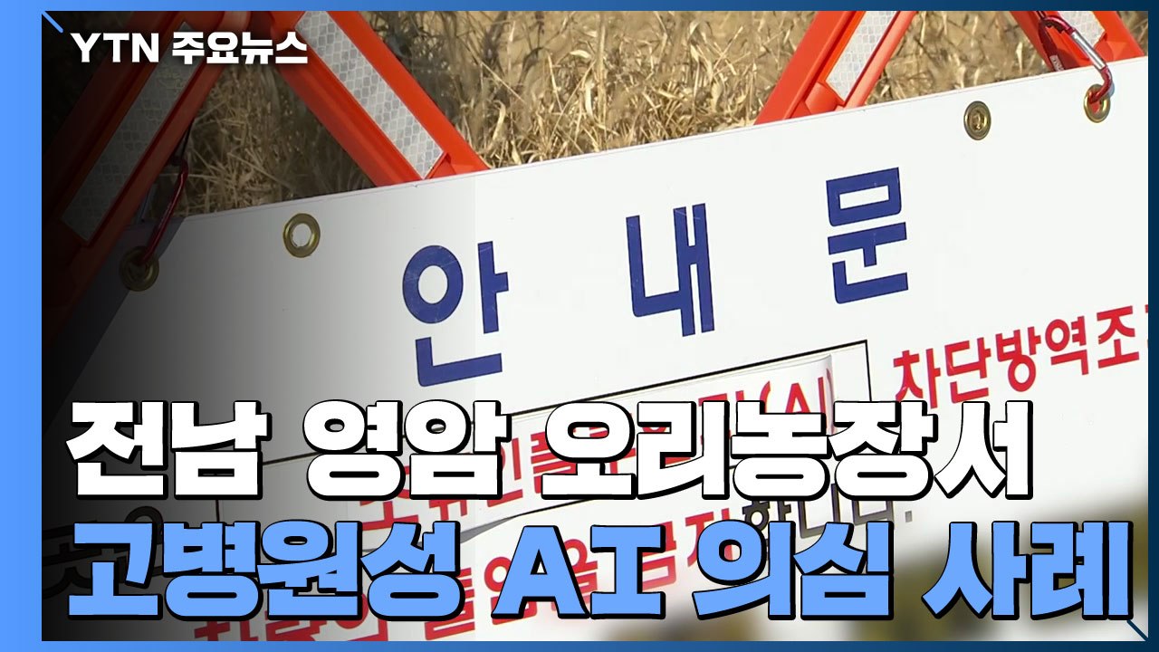 고병원성 AI 전남 영암 오리농장서 의심 사례...확진되면 전국 세 번째 / YTN