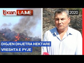Digjen dhjetra hektare vreshta e pyje | Lajme-News