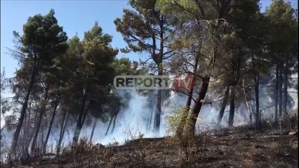 Télécharger la video: Report TV -Shqipëria në 