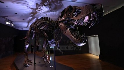 Top News - Skeleti i tiranozaurit rex/ Pritet çmim rekord në ankand