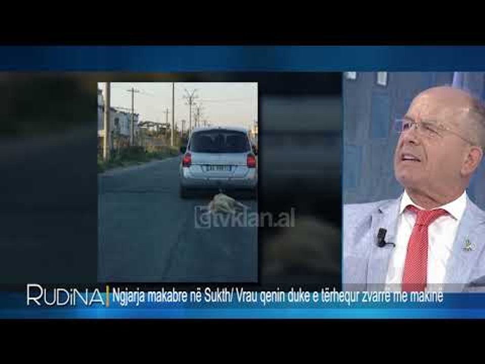 E zvariti qenin me makine, Sazan Guri: Nuk eshte rast qe karakterizon shqiptaret