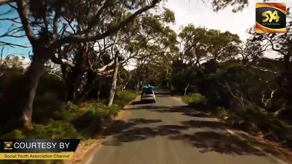 How You Can Fulfil Your Potential | SYA Channel