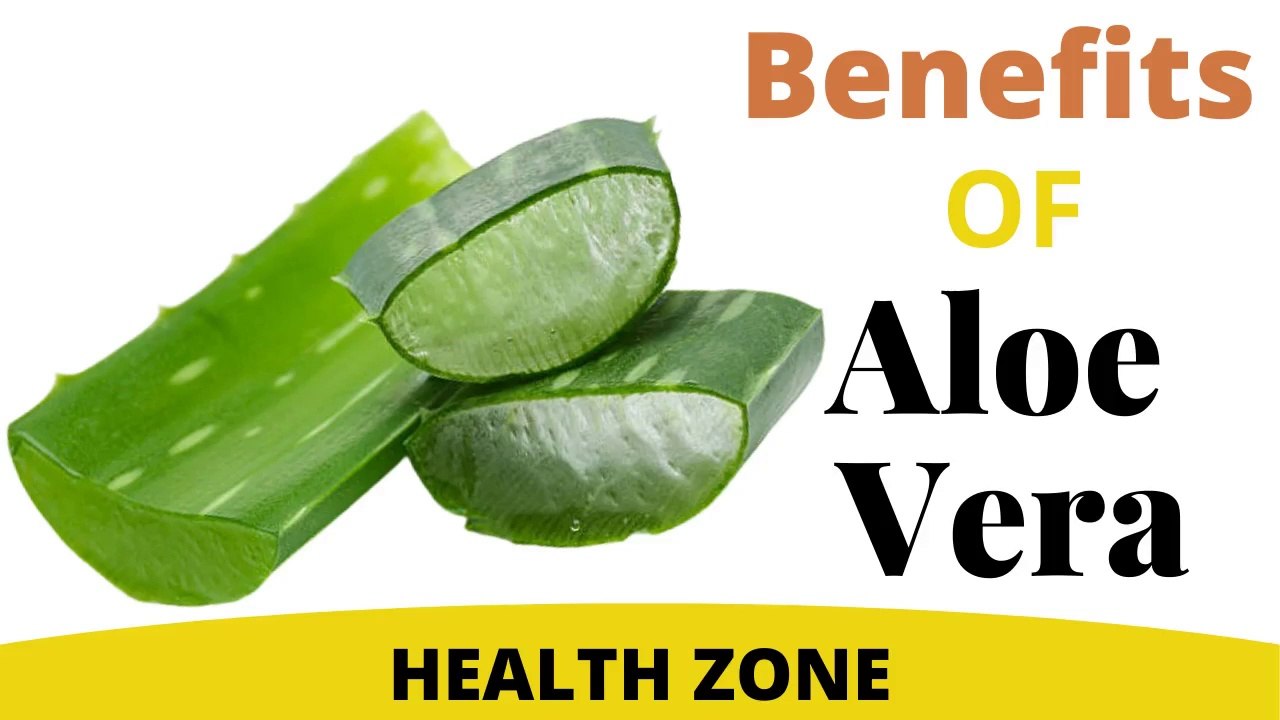 Aloe Vera Benefits | 13 Benefits That You Should Know