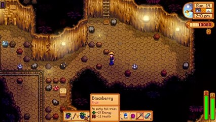 Stardew Valley: Skull cavern
