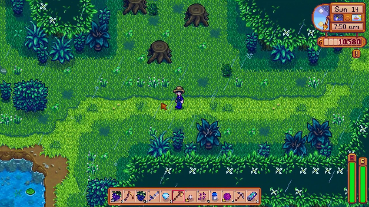 Stardew Valley: Hidden forest