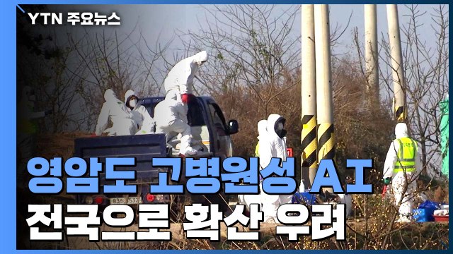 전남 영암에서도 고병원성 AI 발생...전국 확산 우려 / YTN