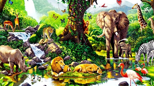 10 animales mas raros del mundo, el numero 9 te sorprenderá | Yohan Cala