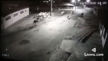 Maranhão tem tremor de terra de magnitude 4.0 e assusta moradores