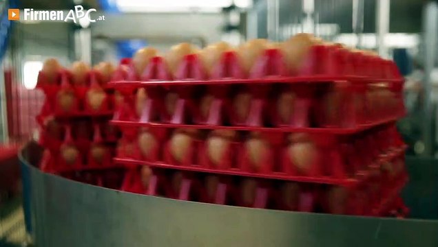 Schrall Ei GmbH – Ihr Partner für frische Bioeier aus Boden- und Freilandhaltung in Atzenbrugg