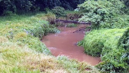 Com cenário ainda longe do normal, Lago Municipal começa ser 'reabastecido' com fortes chuvas