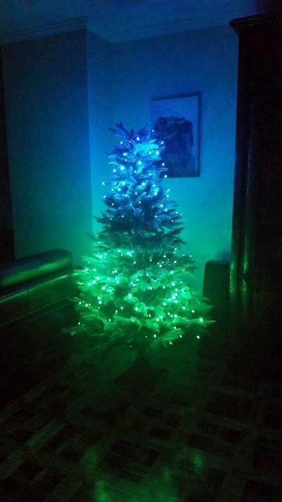 Sapin 2020