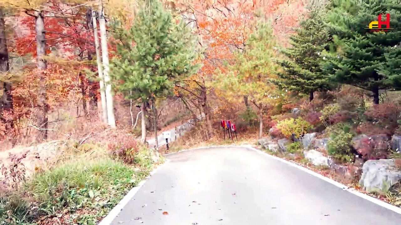 [VIETSUB] SKZ VLOG: Changbin - VLOG Thỏ Lợn Ụt Ịt 2