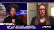 Mary Trump- Trump Wouldn't Be Considering Family Pardons ‘If There Weren't A There There’ - MSNBC