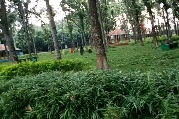 Jessor Jess Garden Tour  Part 9