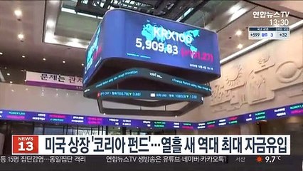 미국 상장 '코리아 펀드'…열흘 새 역대 최대 자금유입