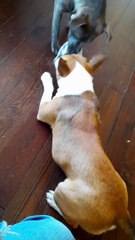 End of Sock Time for Tucker Carlson 