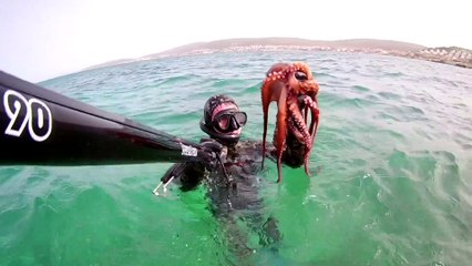 Spearfishing Octopus / Zıpkınla Ahtapot Avı