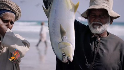 سلطنة عمان.. رحلة العودة ضيافة كريمة ووجوه لا تنسى