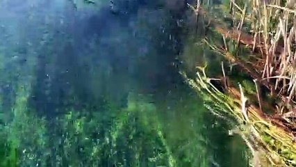 Gökova - Akyaka Azmak Su Altı Görüntüleri 5