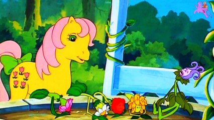 MY LITTLE PONY-FUGITIVE FLOWERS