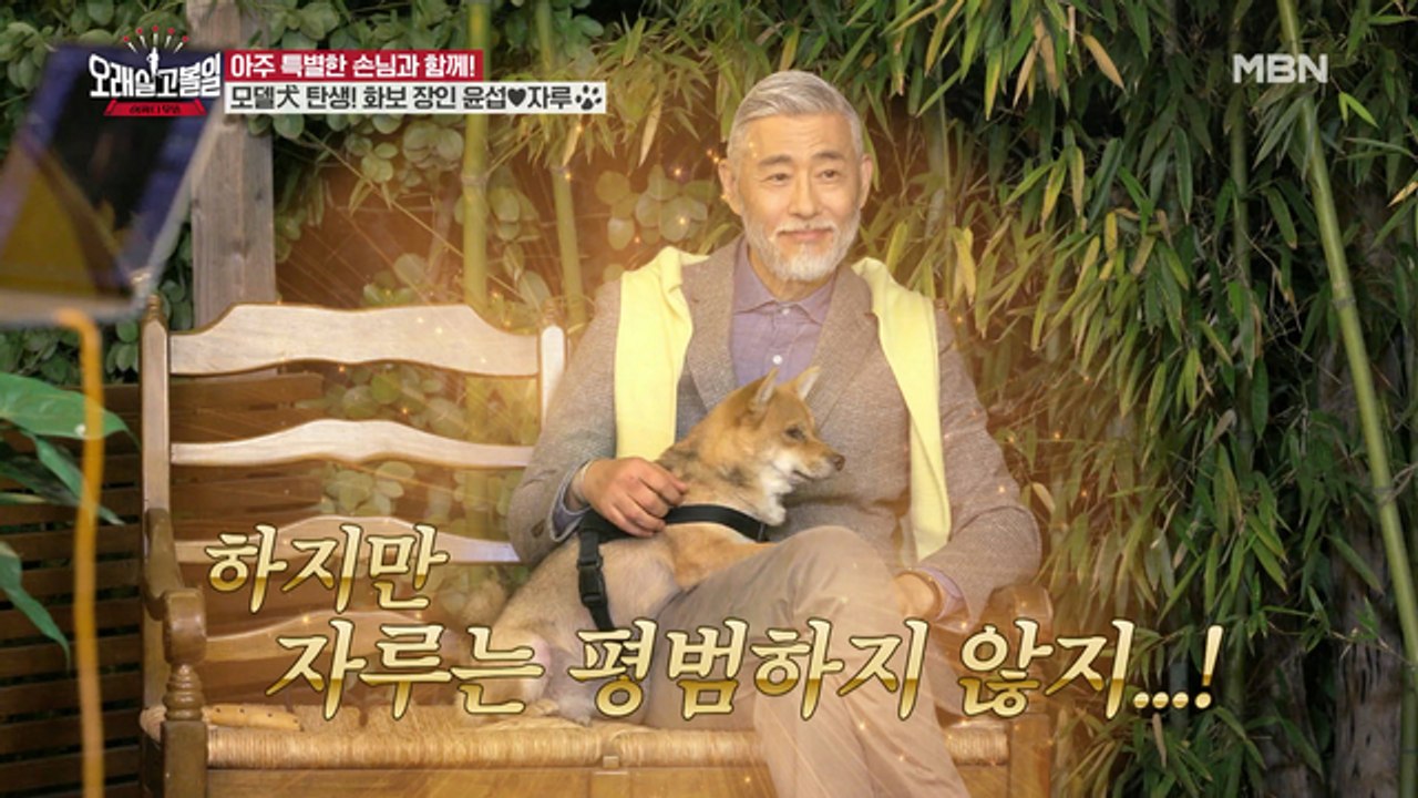 강아지는 이미 모델, 자루 덕 본 박윤섭 도전자