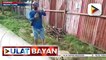 #UlatBayan | ULAT PROBINSYA: Tree planting activities, isinagawa sa iba't ibang bahagi ng bansa