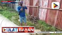 #UlatBayan | ULAT PROBINSYA: Tree planting activities, isinagawa sa iba't ibang bahagi ng bansa