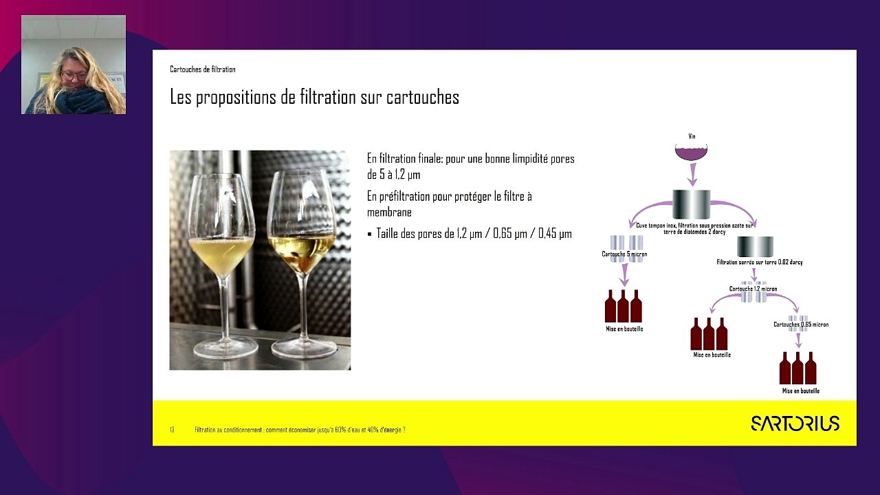 Objectif neutralité carbone - la filière vin réduit son empreinte - PARTIE 2